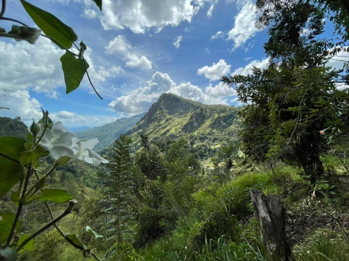 The Ella Valley Eksteriør bilde